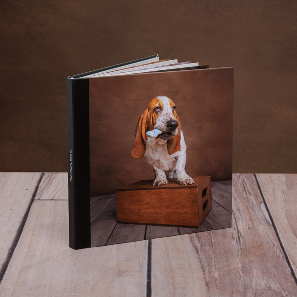 pet portrait photography birthday album oliver basset hound